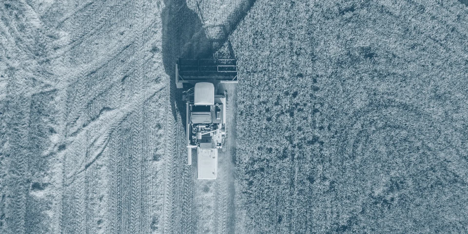 Vista aérea de uma colheitadeira em operação em uma lavoura de grãos.
